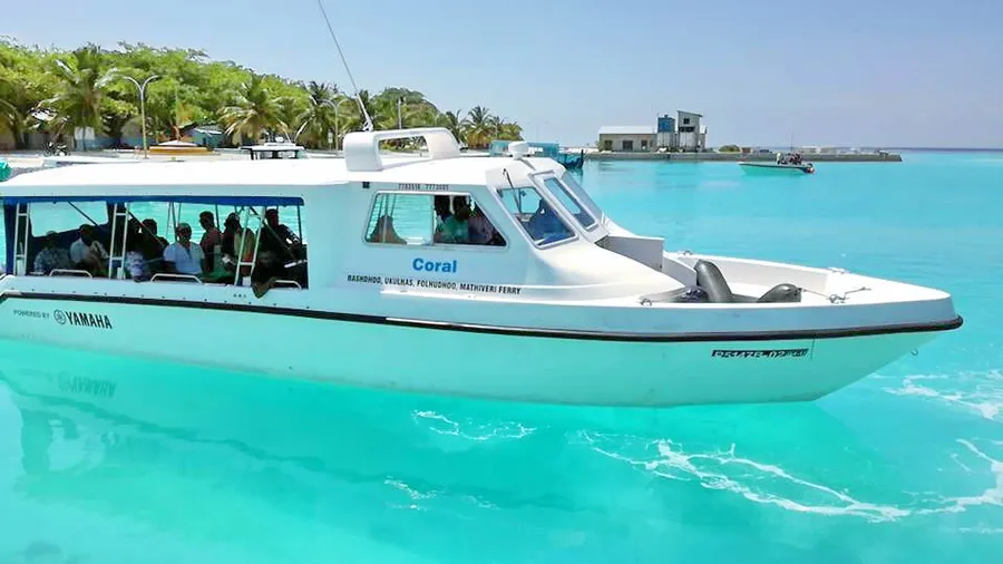 Snorkeling and Diving Spots