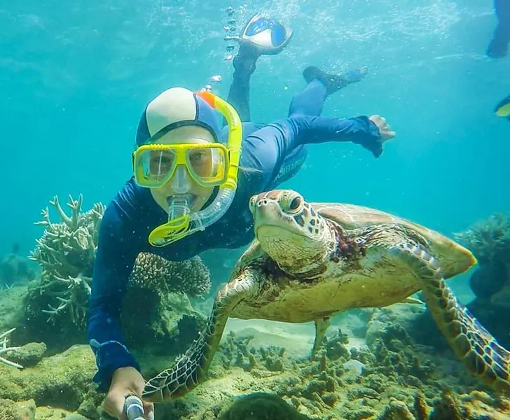 Snorkeling and Diving Tours