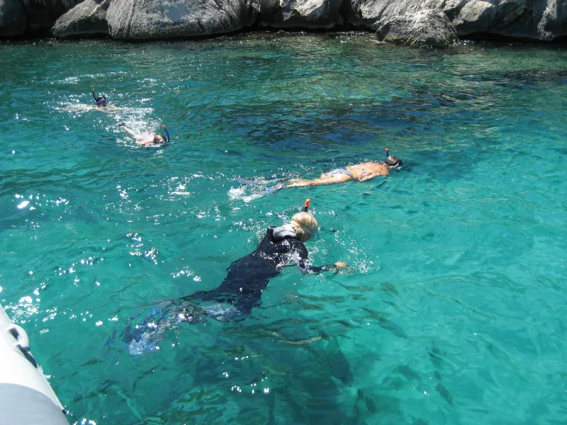 Snorkeling and Diving Tours