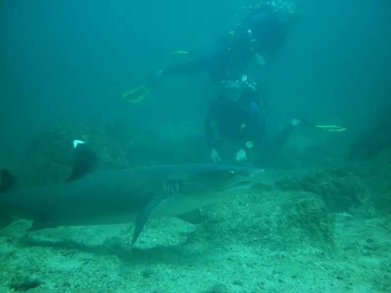 Snorkeling and Scuba Diving Spots