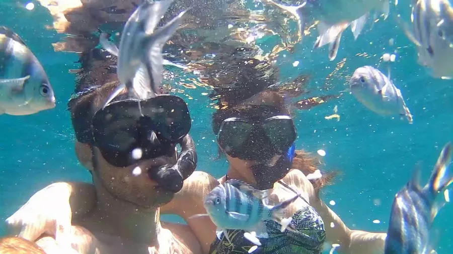 Snorkeling around Koh Nang Yuan