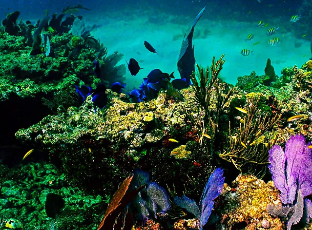 Snorkeling at Sombrero Reef