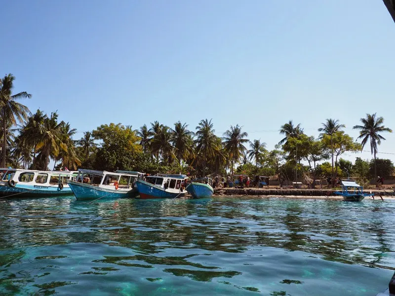 Snorkeling or Diving Trip