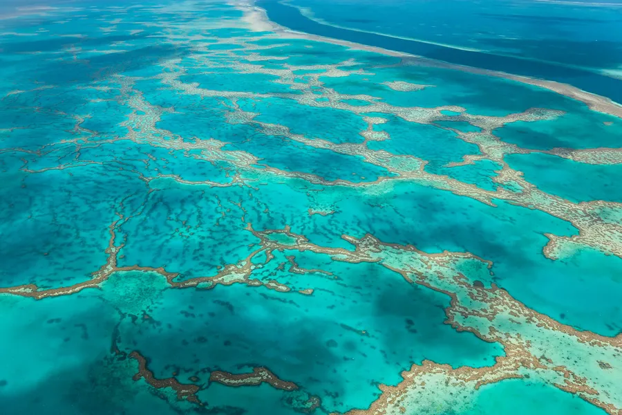 Snorkelling and Diving on the Great Barrier Reef