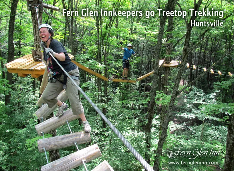 Soaring Tree Top Adventures