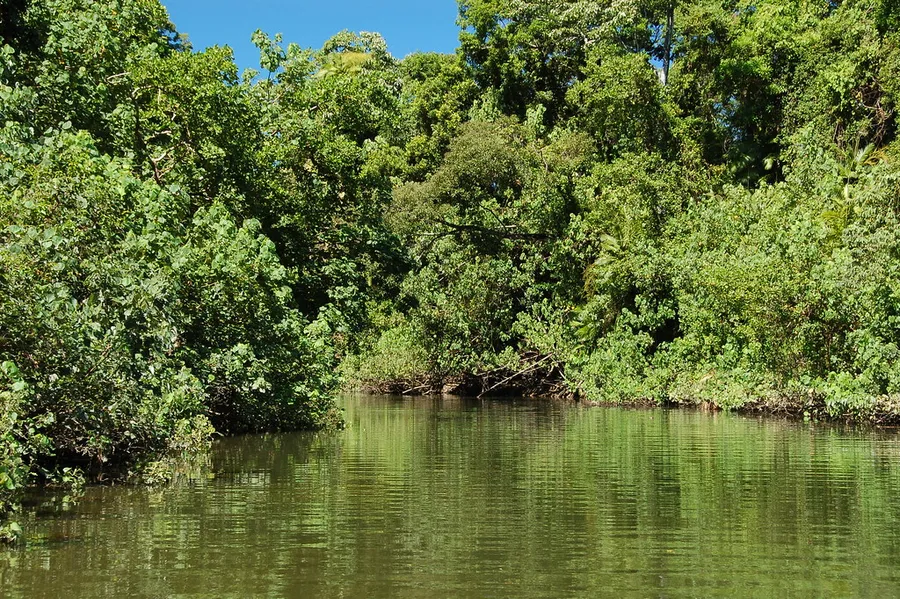 Solar Whisper Daintree River Crocodile & Wildlife Cruises