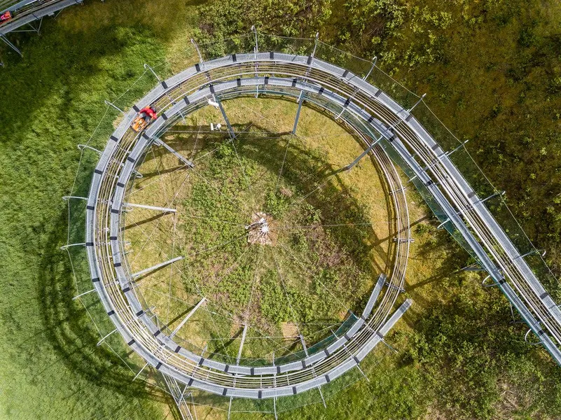 Sommerrodelbahn Pottenstein (Summer Toboggan Run)