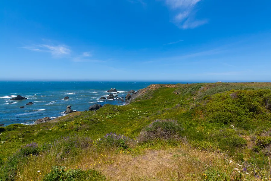 Sonoma Coast State Park