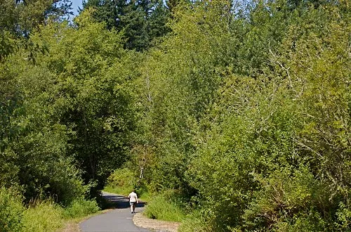 Soos Creek Trail