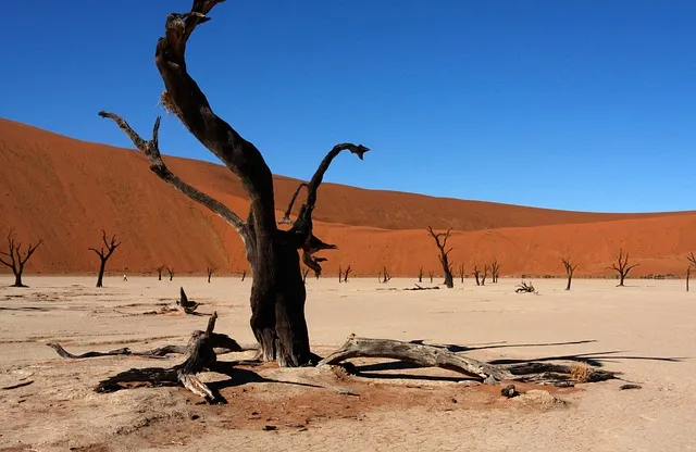 Sossusvlei