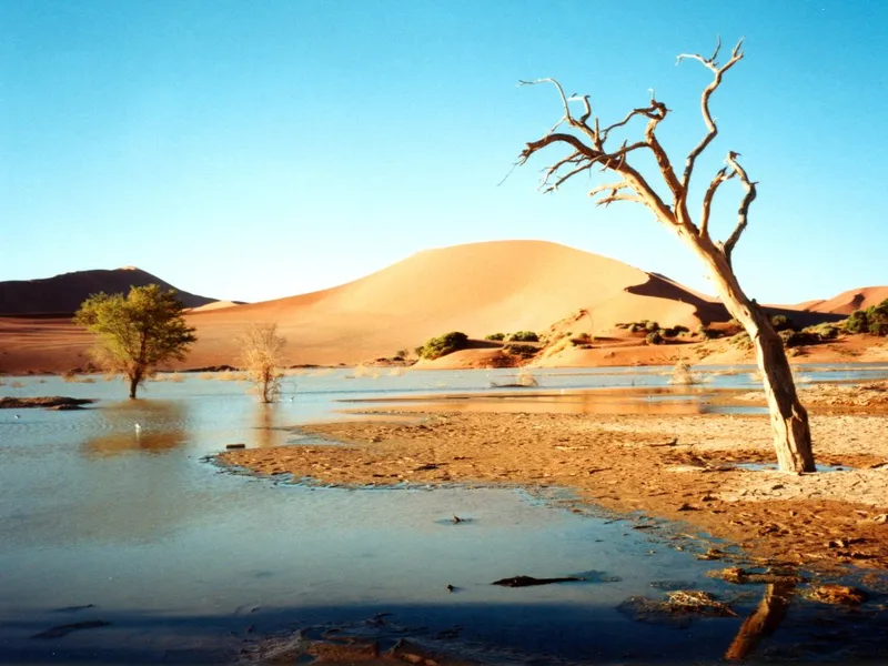 Sossusvlei Pan