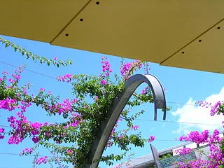 South Bank Parklands