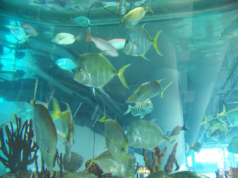 South Carolina Aquarium