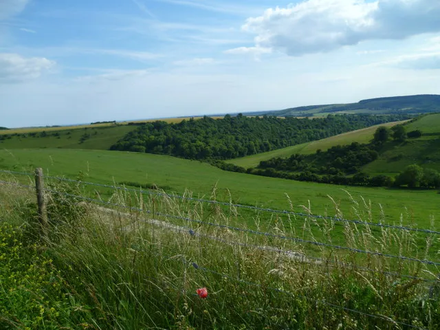 South Downs National Park