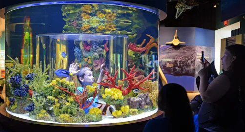 South Florida Science Center and Aquarium