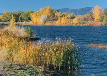 South Platte River Trail