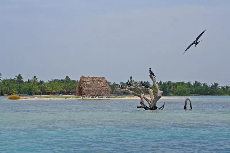 South Water Caye Marine Reserve