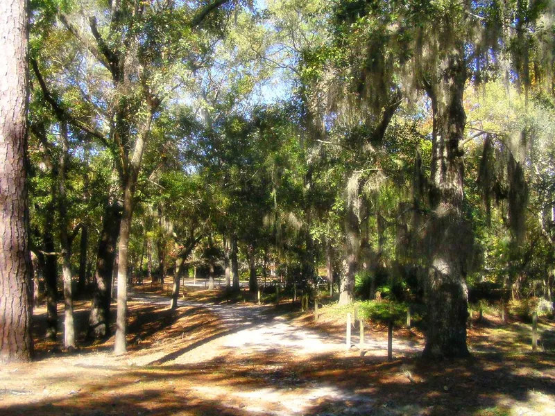 Spanish Moss Trail