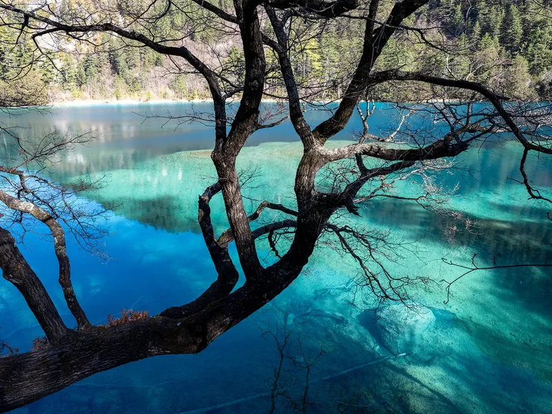 Sparkling Lake