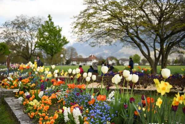 Spice Garden