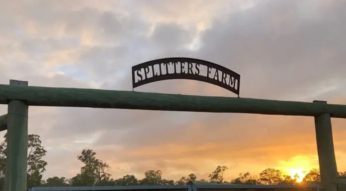 Splitters Farm