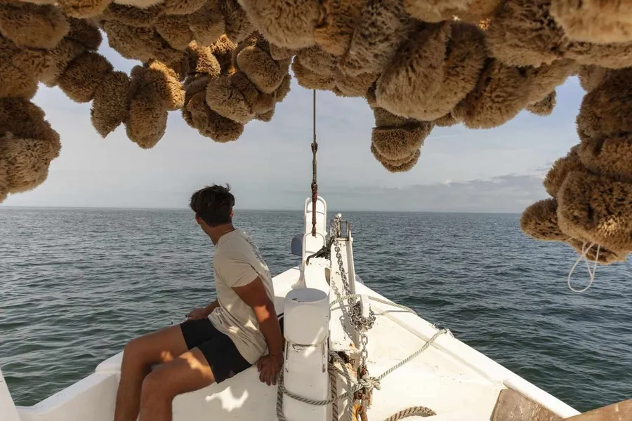 Sponge Docks