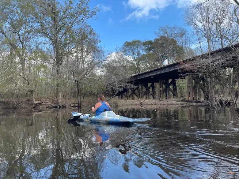 Spoonbill Swamp Kayak Tours
