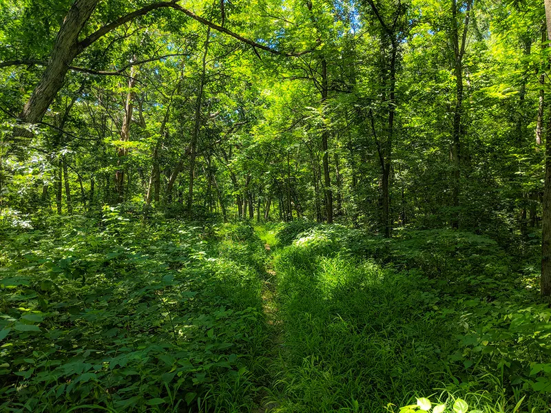 Spring Green Preserve State Natural Area