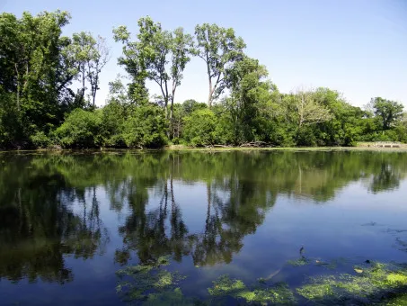 Spring Meadow Lake State Park