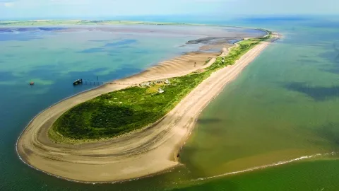 Spurn National Nature Reserve