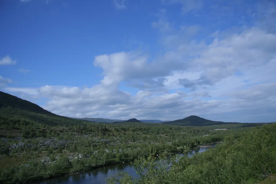 Stabbursdalen National Park