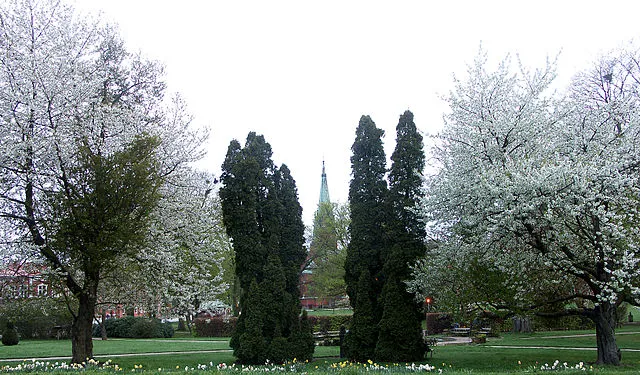 Stadsparken