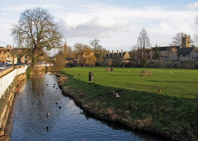 Stamford Meadows