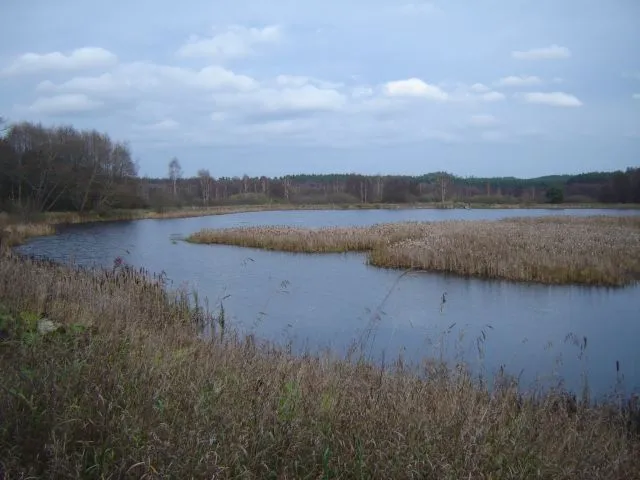 Stawy rybne (Fish Ponds)