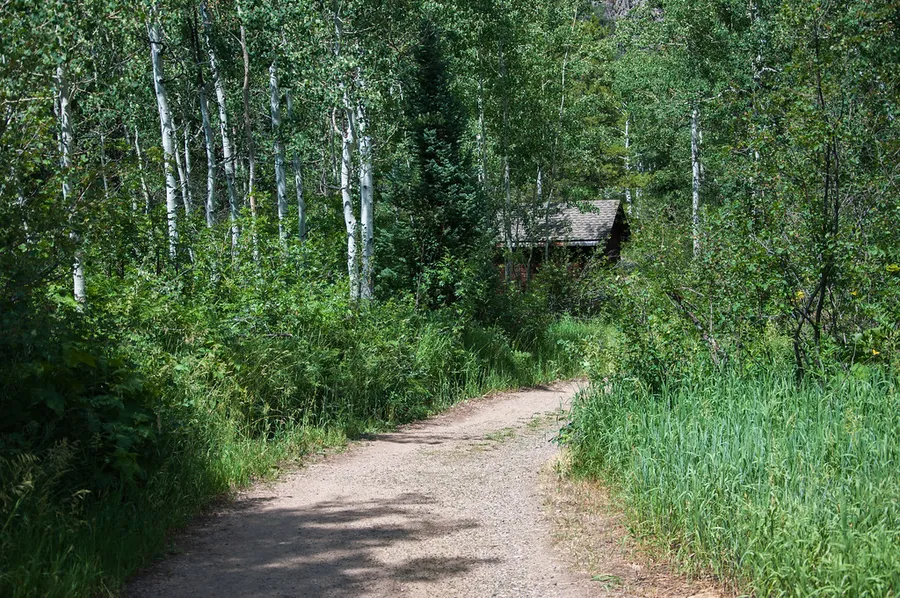 Steamboat Trace Trail