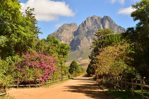 Stellenbosch
