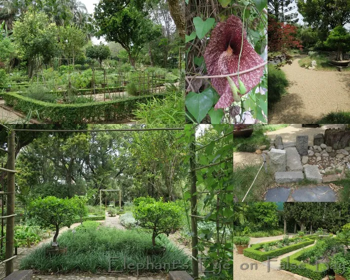 Stellenbosch University Botanical Garden