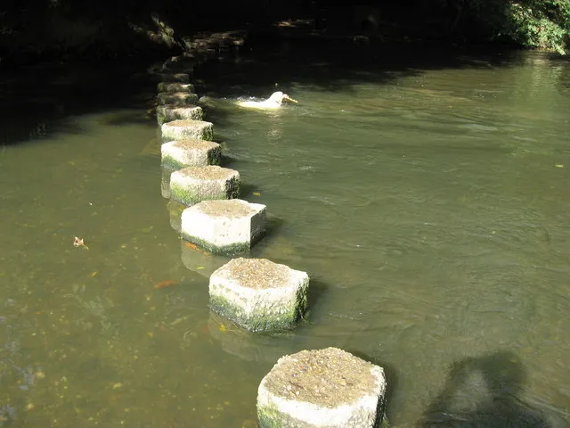 Stepping Stones at Box Hill