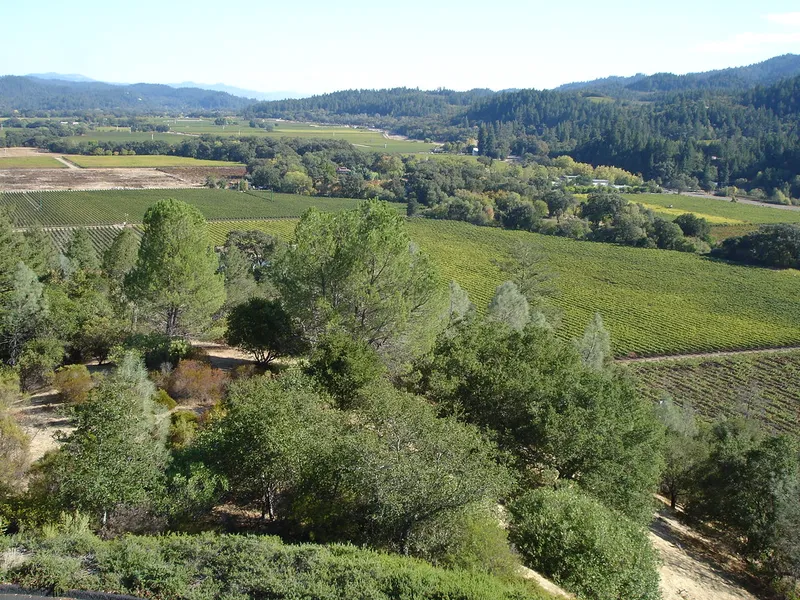 Sterling Vineyards
