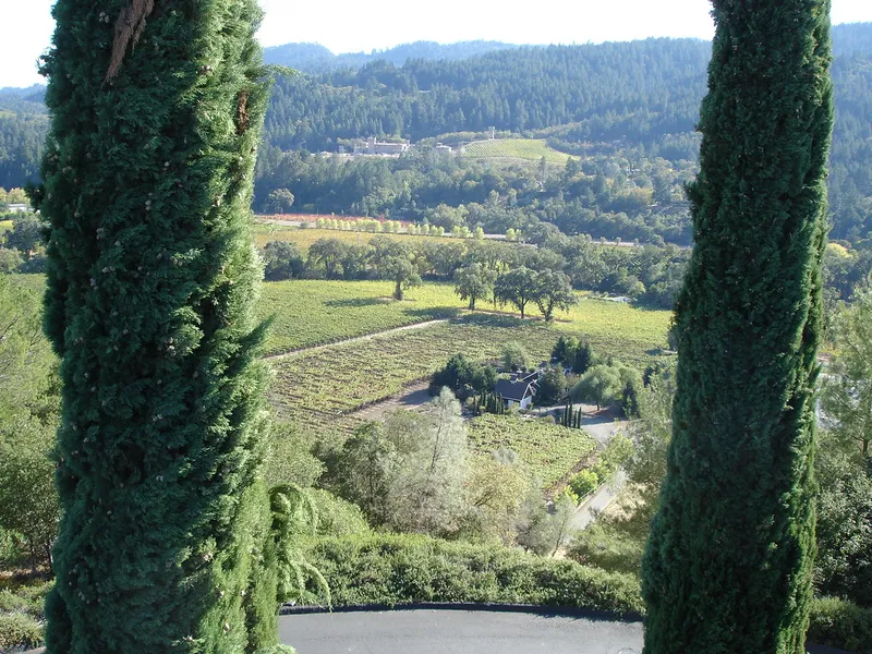Sterling Vineyards