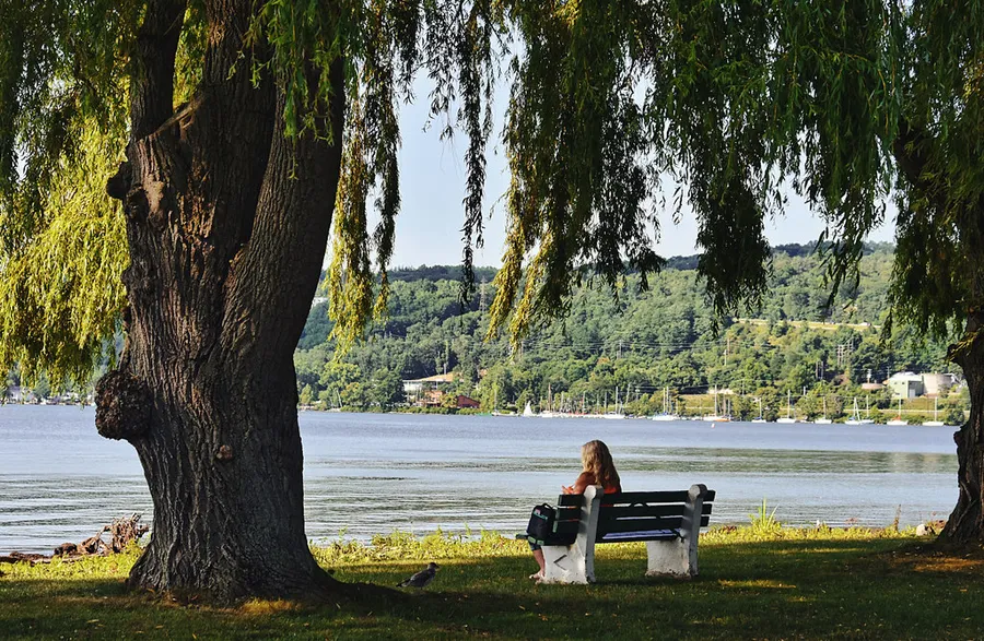 Stewart Park
