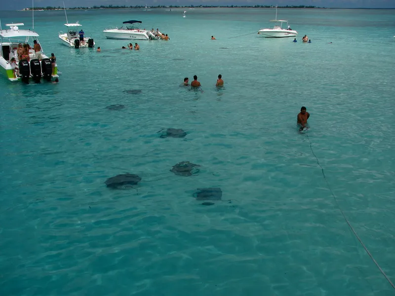 Stingray City