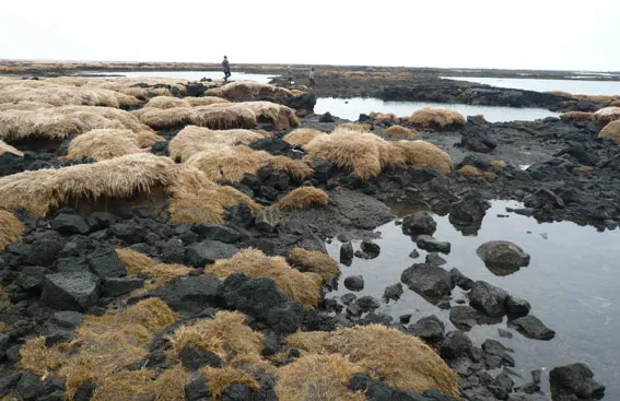 Stokkseyri Beach