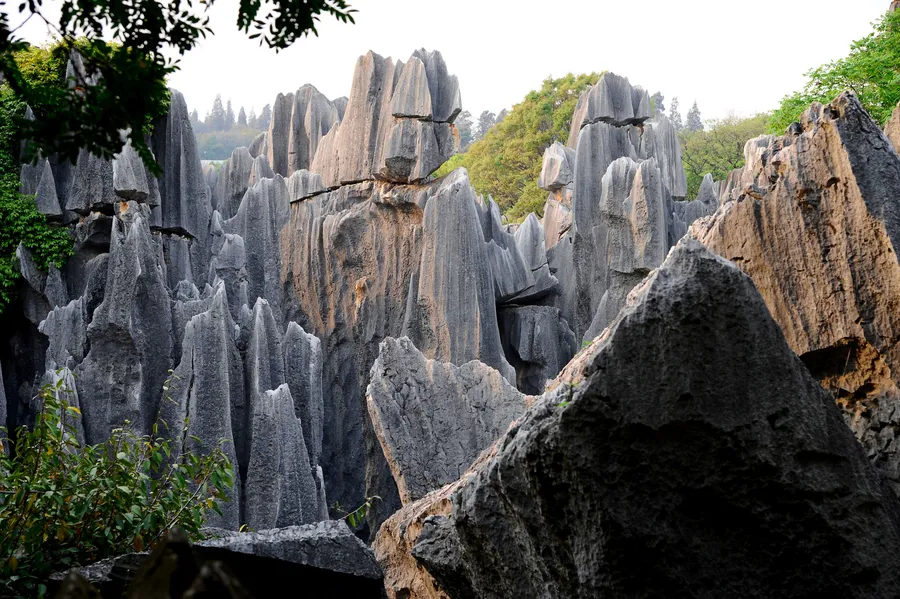 Stone Forest (Shilin)