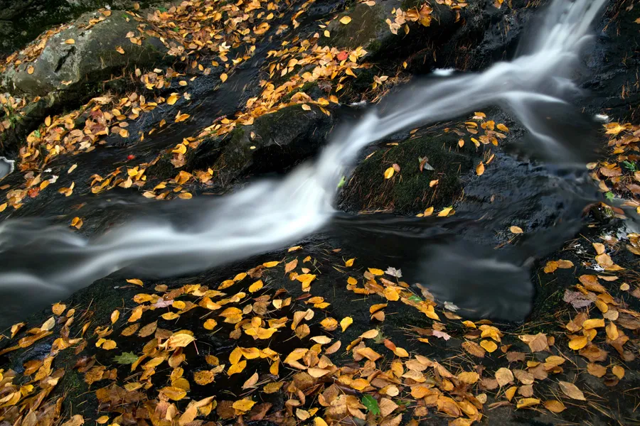Stone River (Kamenorecki vir)