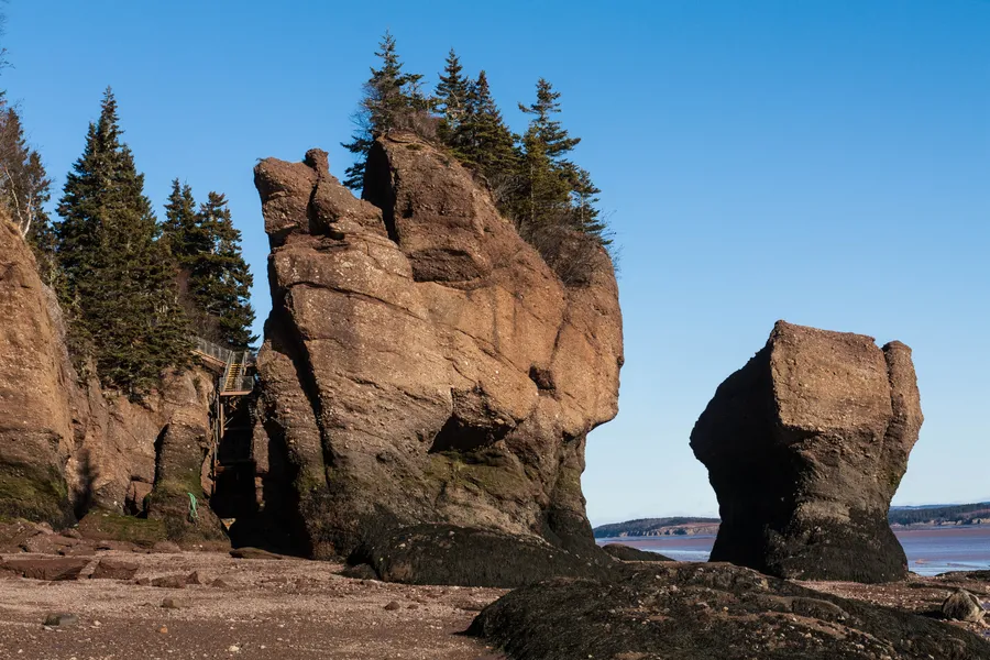 Stonehammer Geopark