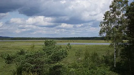 Store mosse National Park