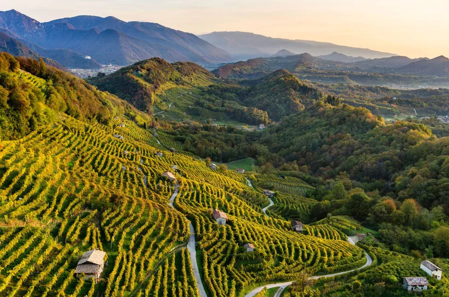 Strada del Prosecco