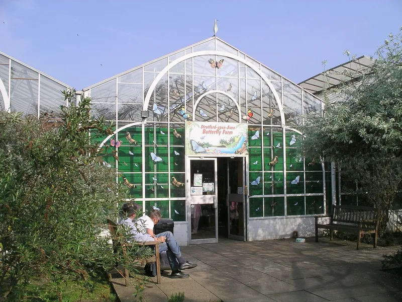 Stratford Butterfly Farm