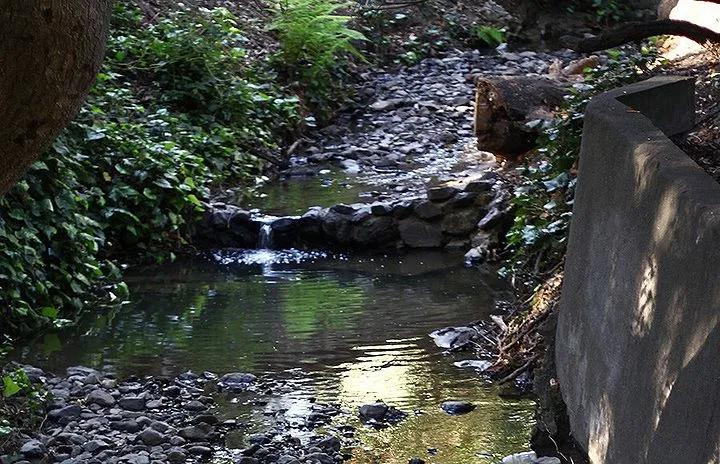 Strawberry Creek